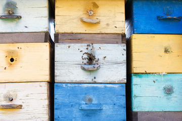 Красочные улей и пчел.