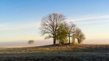 Wiosenny poranek © podlaski49