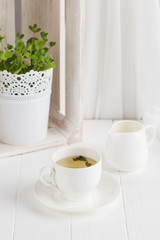 Fototapeta na wymiar Cup of tea on white background