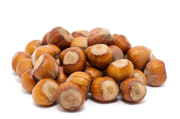 Hazelnuts on white background