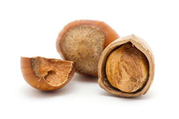 Hazelnuts on white background