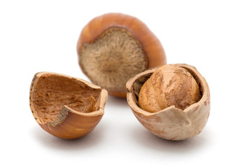 Hazelnuts on white background