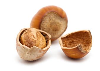 Hazelnuts on white background