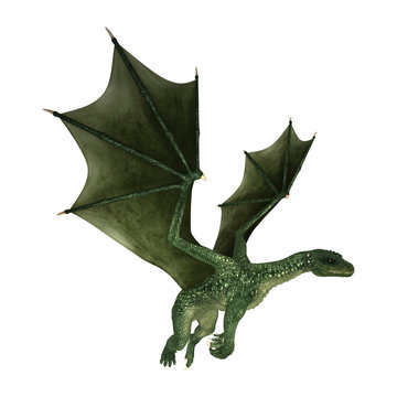 3D Illustration Fantasy Dragon on White