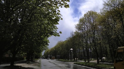 После дождя