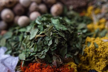 close up of parsley