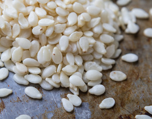 macro of sesame seeds