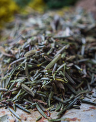 close up of thyme