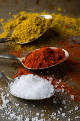 salt, paprika and curry on steel spoons