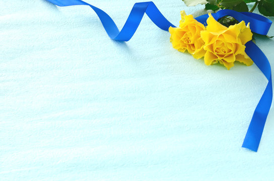 Fototapeta 黄色の薔薇と青いリボン　水色背景