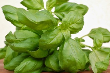 Basil on the wooden background