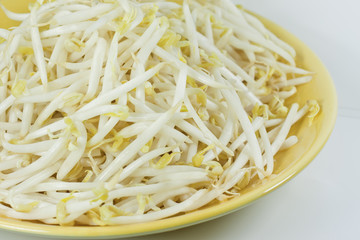 bean sprouts in yellow plate