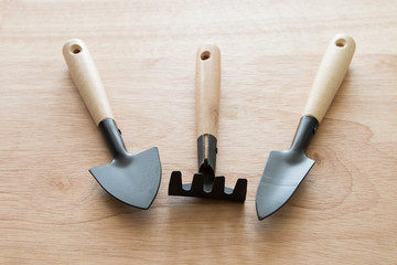Gardening tools on a wooden board