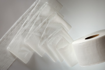 One white toilet paper roll