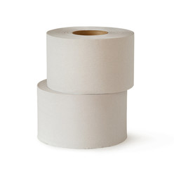 Two white toilet paper rolls