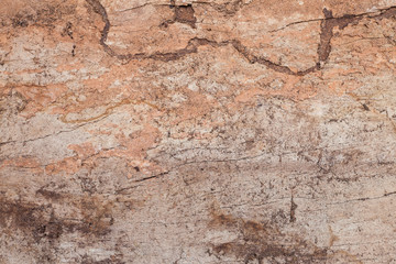 Old wood cracked and dust background texture.