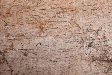 Wooden cracked and dust background texture.