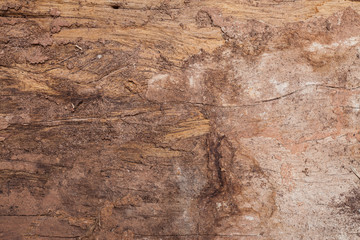 Old wood cracked and dust background texture.