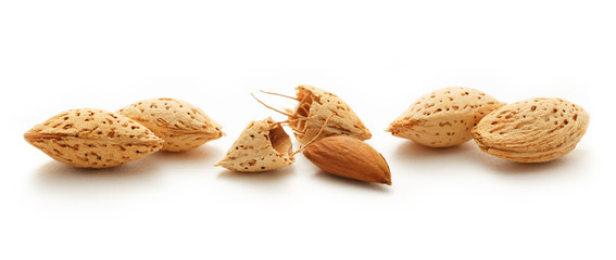 Dry almond nuts