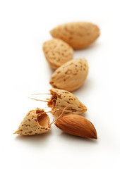 Dry almond nuts