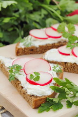 Sandwich with soft cheese, radish and parsley