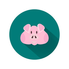 Pig head color icon