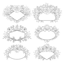 Vector Floral Frame Collection