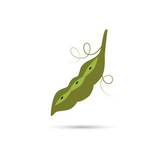 Fototapeta premium Beans color icon