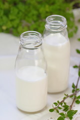 Milk in bottles