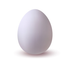 White egg vector illustration. Easter. Hen bird, reptile egg