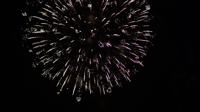 colorful firework in the dark sky. silvester celebration