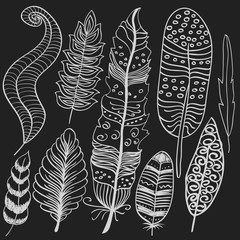Hand drawn doodle vector feathers set
