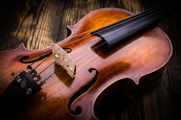 Violin strings and bridge