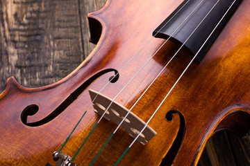 Violin strings and bridge