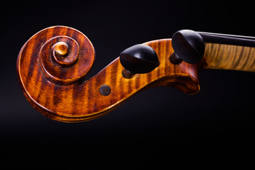 Close view of violin pegbox