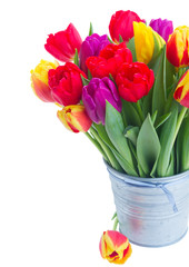 bouquet of  yellow, purple and red  tulips