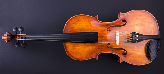 Front view of a brown violin © Szasz-Fabian Jozsef