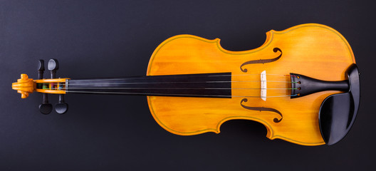 Front view of a yellow violin