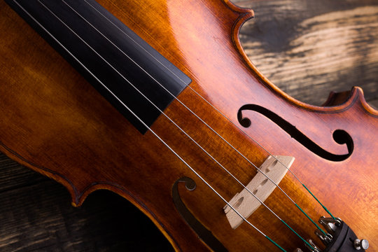 Violin strings and bridge