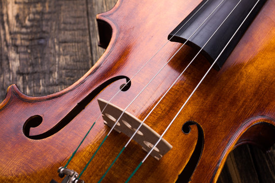 Violin strings and bridge