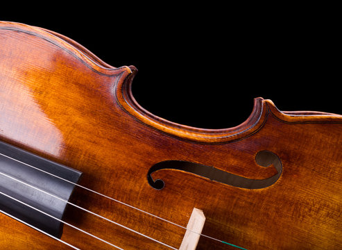 Close view of a violin strings and waist