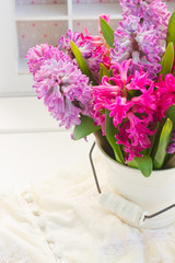 Pink and violet hyacinths