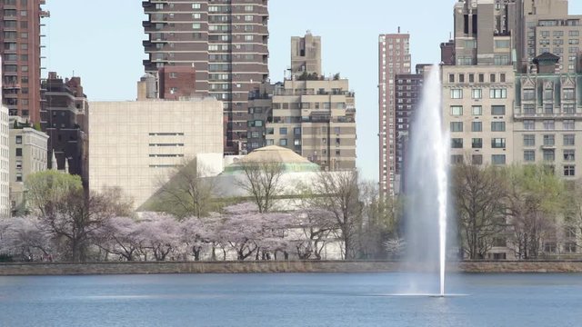 Spring at Central Park Reservoir Fountain, Upper East Side, Manhattan, New York City