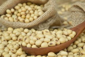 Close up soy bean on wooden spoon