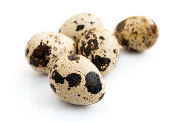 Quail eggs