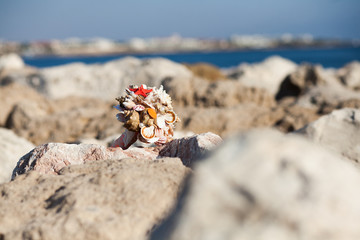 Bouquet of seashells on the rocky seashore