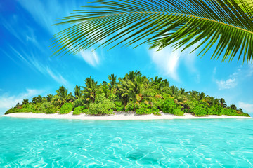 Fototapeta na wymiar Whole tropical island within atoll in tropical Ocean. Uninhabite