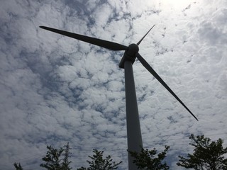 曇り空と風車