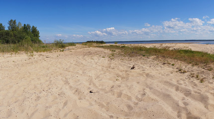Sandy wild beach in the summer.