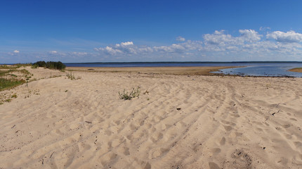 Fototapeta na wymiar Sandy wild beach in the summer.